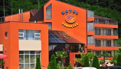 Restaurant Gomar Lux Bistrita